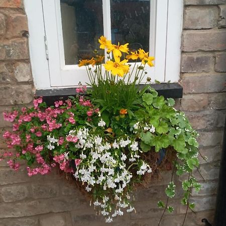 Delighful Self Catering In The Heart Of Glastonbury Buitenkant foto