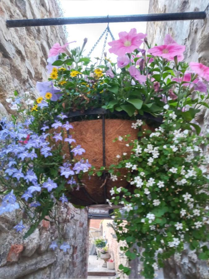 Delighful Self Catering In The Heart Of Glastonbury Buitenkant foto